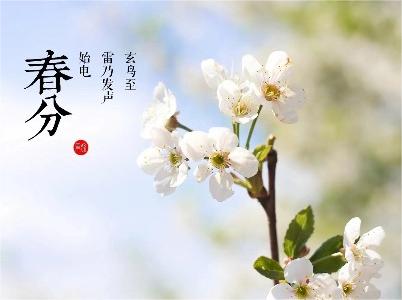 春分——陌上花正艷，春色入中分