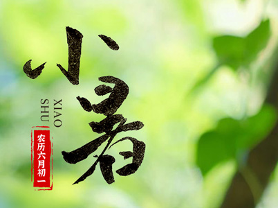 時惟七月——小暑至，蓮生香